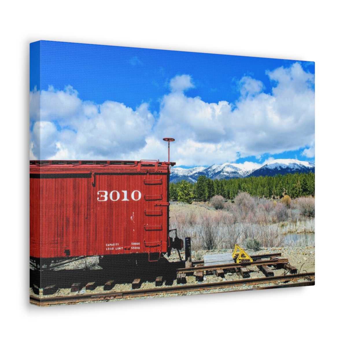 Snow Train Canvas Print by Peggy Vega