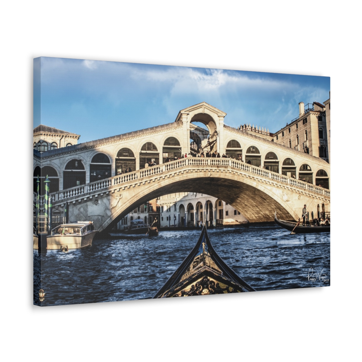 Rialto Bridge in Venice Canvas Print by Peggy Vega